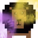 the lions and