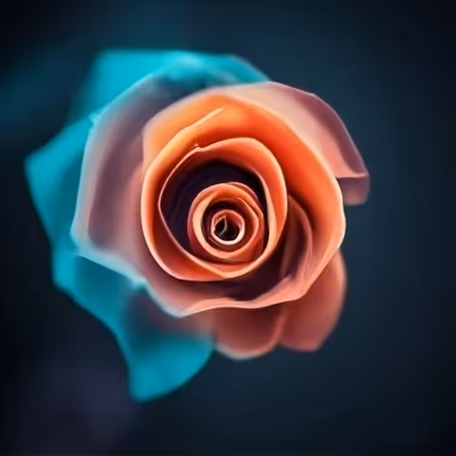 Simone