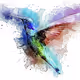 Hummingbird