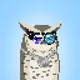 Pixel Owl Connection