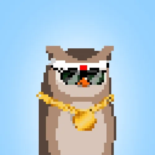 Pixel Owl Connection
