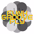 Funk Groove Fly
