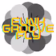 Funk Groove Fly