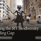Solving the $1T Biodiversity Funding Gap