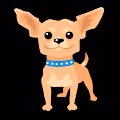 CHIHUAHUA NFT V2