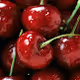 Cherry Cherry Cherry