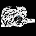 Lions on Chain