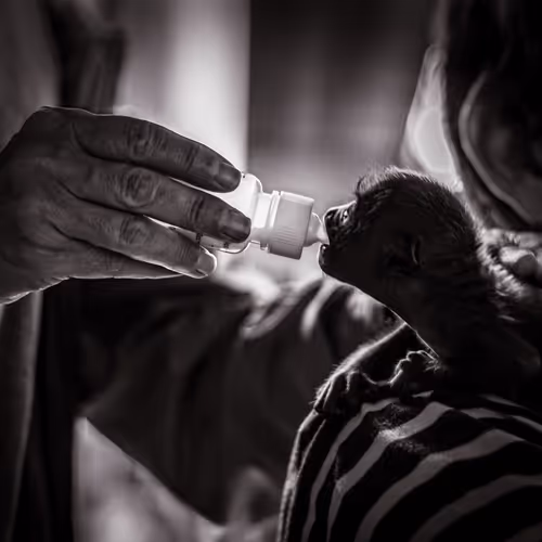 ''Alimentar la vida'' by Noelia Chalfoun