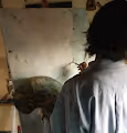 Serkin - Digital Oils