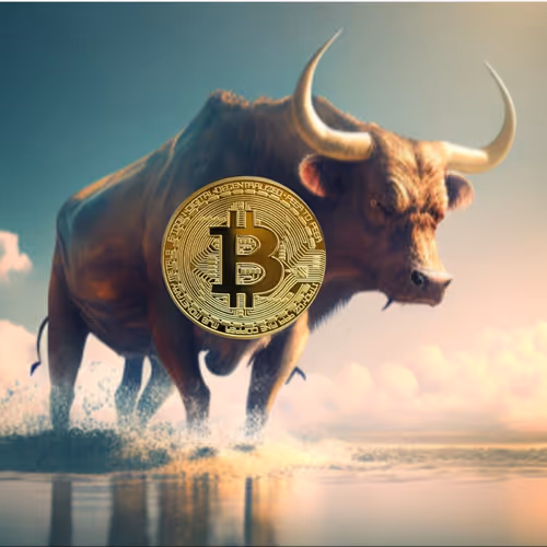 bull btc 13