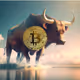 bull btc 13