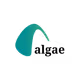 ALGAE EXPLORER