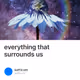 everything that surrounds us