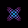 Neuroloop