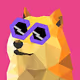 PolyDoge Medals