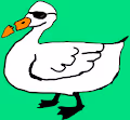 crypto duckss