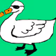 crypto duckss