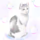 Cats art NFT