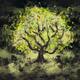 AURORA TREE No.3