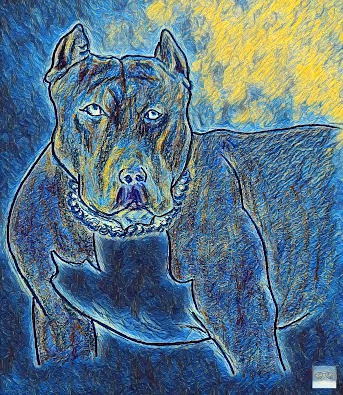 Porch Dogg Collective Ace **Official**