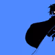 Alpha Fans Anime