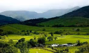 blockchain - 1ZUzRfzfZZ