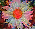Metaverse Flowers* Advanced*
