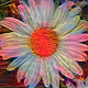 Metaverse Flowers* Advanced*