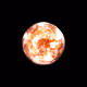 Other Universe