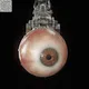 Horror_Collection