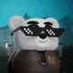 Panda Moon