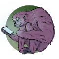 81 Apes