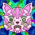 Cataclysms
