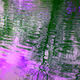 REFLEJOS