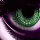 eyes in worldcoin