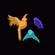 P.Birds
