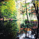 Unpure Michigan