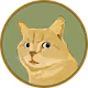 mustapha_the_cat
