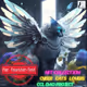 For Transfer-Test vol.4