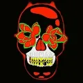 Funky Skulls