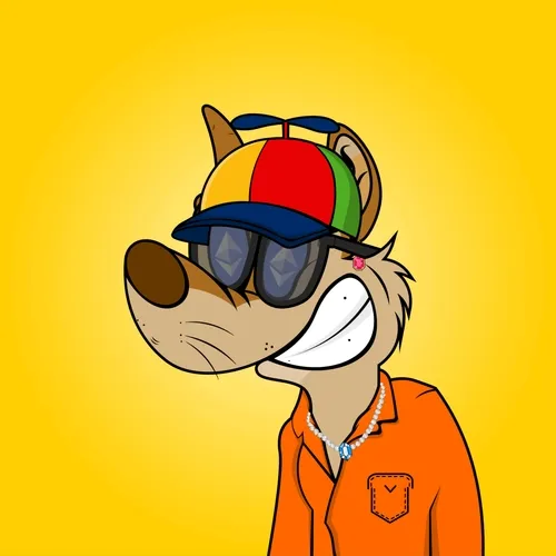 CHASE THE CHEEKY DINGO