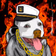 Pixel Pitty