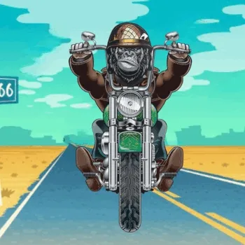 Ape Moto Club