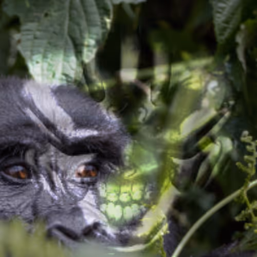 jungle cannibal demon