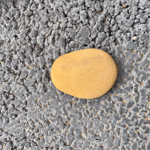 crazy stone