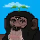 The Stoned Ape Experience
