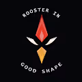 Rooster In Good Shape