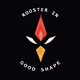 Rooster In Good Shape
