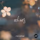 echoes