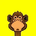 Woopapexel - Life of Monkey